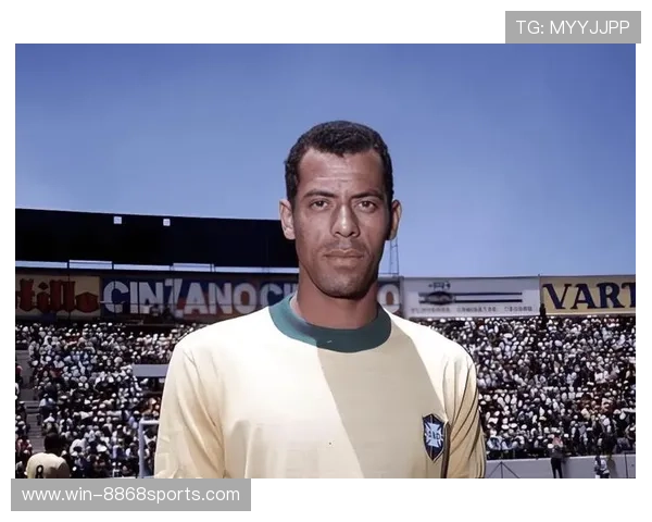 足球历史上十大过人技巧最顶尖的球星盘点与解析